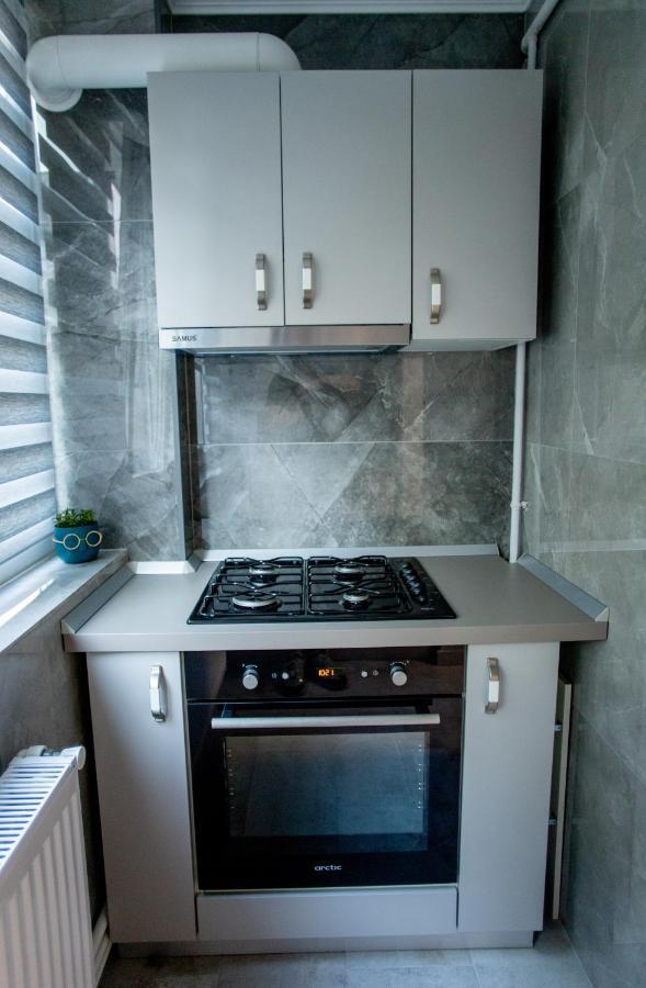 Loghin Residence Sučava Exteriér fotografie