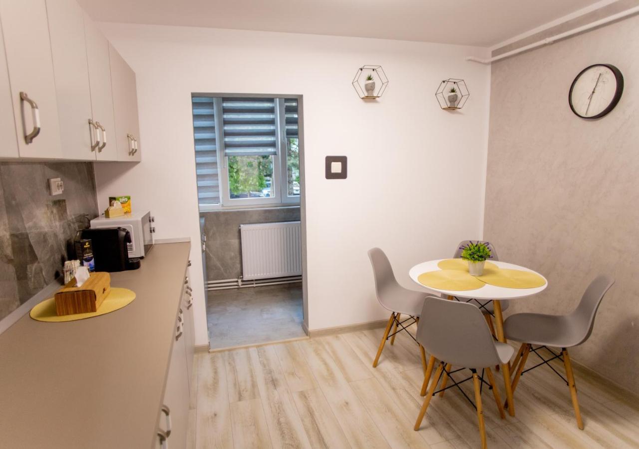 Loghin Residence Sučava Exteriér fotografie